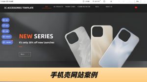 手机壳网站案例